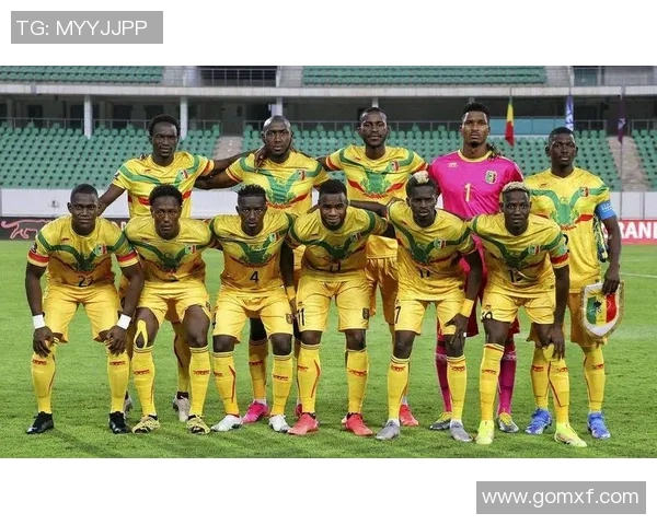 苏丹国家队足球明星的崛起与挑战探秘